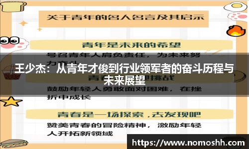 王少杰：从青年才俊到行业领军者的奋斗历程与未来展望