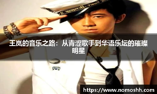 王岚的音乐之路：从青涩歌手到华语乐坛的璀璨明星